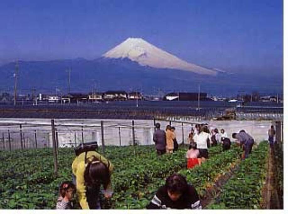 Kannami ゲストハウス+カフェわ　１日１組限定！ 築１００年の農家の古民家で宿泊体験、薪でお風呂沸かせます。焚き火もできます。 מראה חיצוני תמונה